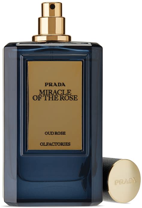 prada perfume unisex|Prada miracle of the rose.